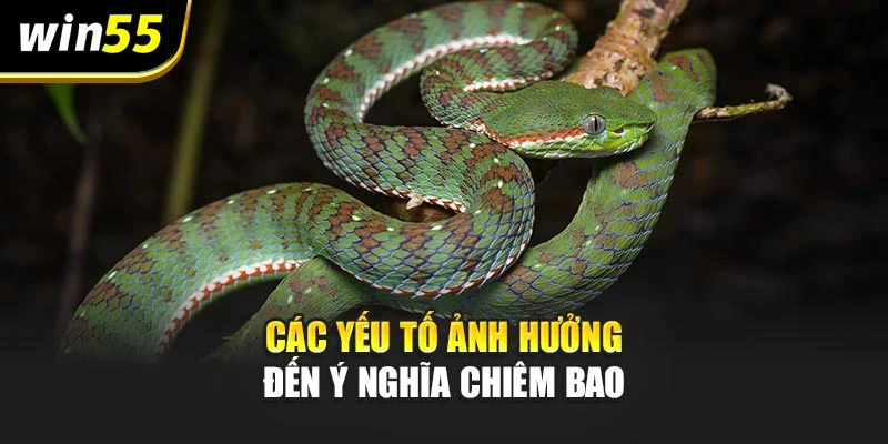 Các yếu tố ảnh hưởng đến ý nghĩa chiêm bao