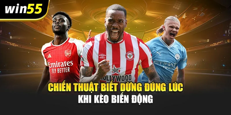 Chiến thuật biết dừng đúng lúc khi kèo biến động