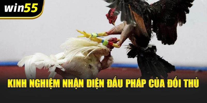 Kinh nghiệm nhận diện đấu pháp của đối thủ
