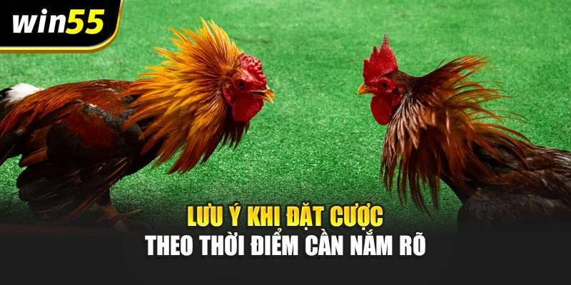 Lưu ý khi đặt cược theo thời điểm cần nắm rõ