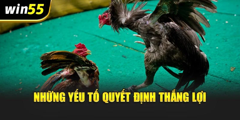 Những yếu tố quyết định thắng lợi